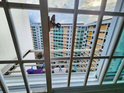 Blk 321 Yishun Rivergreen (Yishun), HDB 4 Rooms #463227451